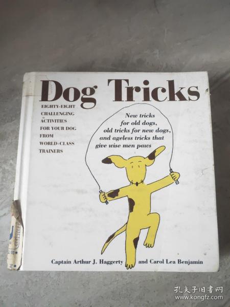 dog tricks