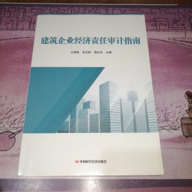 建筑企业经济责任审计指南