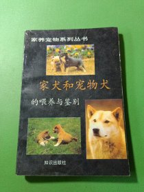 家犬与宠物犬的喂养与鉴别