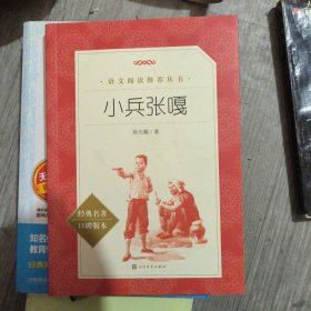 小兵张嘎
