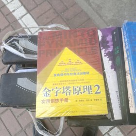 金字塔原理2：实用训练手册