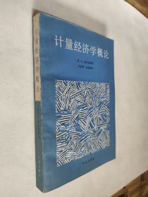 计量经济学概论，九品，包邮