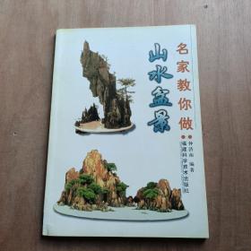 名家教你做山水盆景