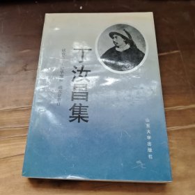 丁汝昌集