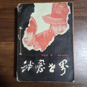 秘密世界（红岩前续）
