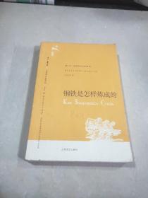 译文名著文库《钢铁是怎样炼成的》