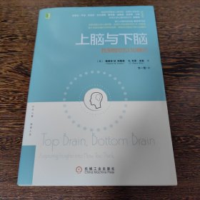 上脑与下脑：找到你的认知模式：世界顶级认知心理学家、哈佛大学教授基于全新的脑科学研究成果，帮助你找到自己的认知模式