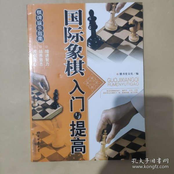 棋牌娱乐指南：国际象棋入门与提高