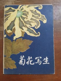 菊花写生（16张全，79年初版初印）