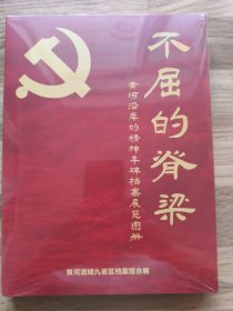 不屈的脊梁-黄河沿岸的精神丰碑档案展览图册