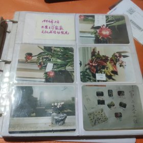 中国广播卫星公司照片一册