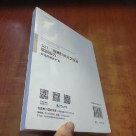 长江三角洲经济社会发展数据报告·文化及相关产业【未拆封】
