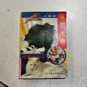 宠物大观