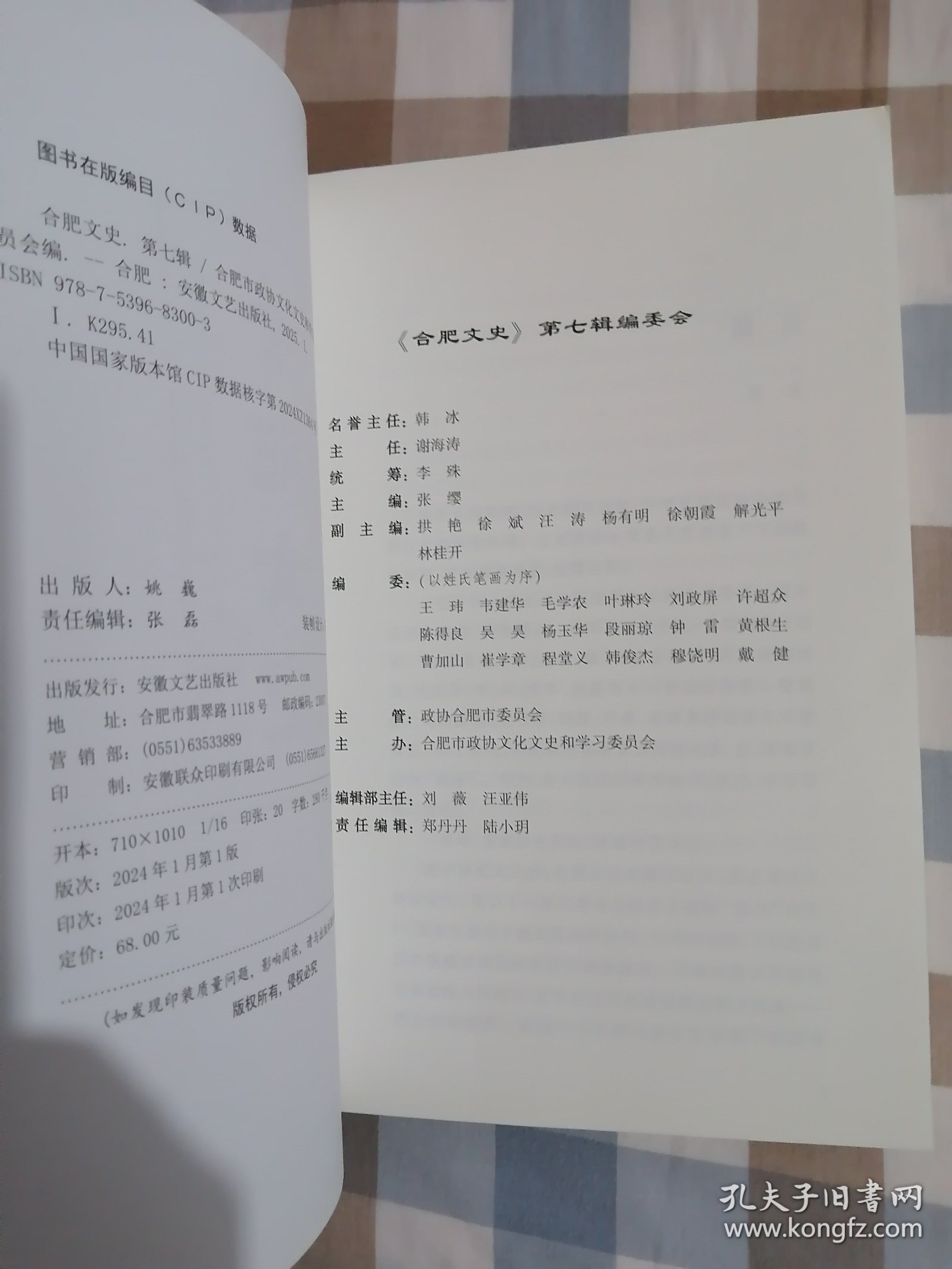 综合新版《合肥文史》2024年第七辑（文史钩沉、专题纪事、口述历史）【当年的供销社、合肥大学的前世今生、从“合兴”到“百大”、志愿军医院到“二院”、“庆云楼”，“老机场”今昔，】
