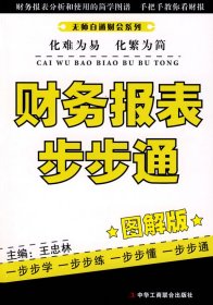 财务报表步步通(图解版)（无师自通财会系列）王忠林