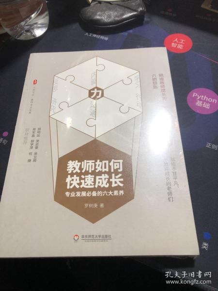 教师如何快速成长：专业发展必备的六大素养 大夏书系