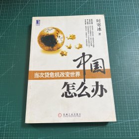 中国怎么办：当次货危机改变世界