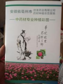 中药材专业种植彩图