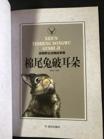 棉尾兔破耳朵/西顿野生动物故事集