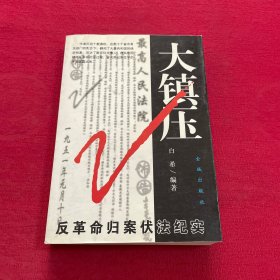 大镇压:反革命归案伏法纪实