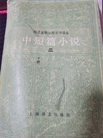 中短篇小说