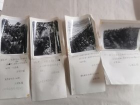 甘肃省定西防护林建设一组有说明