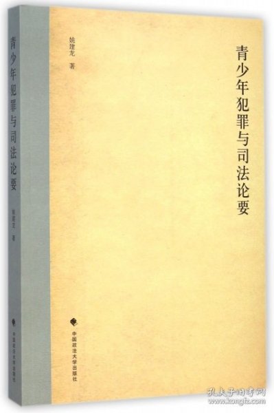 青少年犯罪与司法论要