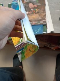 火车出发了：日本精选科学绘本系列