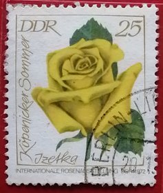 袁袁收藏民主德国邮票 东德 1972年 发行量700万 国际玫瑰花大展2组 伊扎特卡柯本尼克玫瑰 3-2 信销