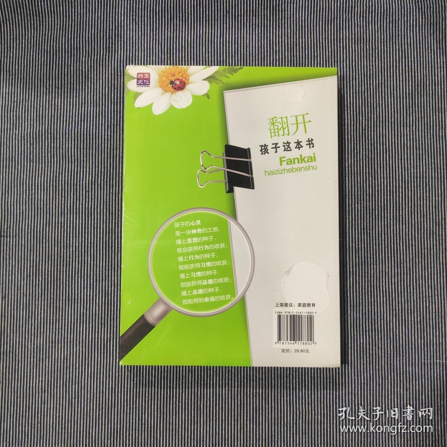 翻开孩子这本书（塑封新书）T