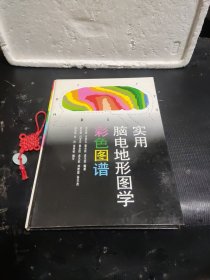 實用腦電地形圖學(xué)彩色圖譜