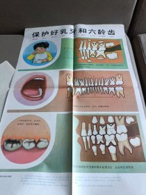 卫生挂图:保护好乳牙和六龄齿