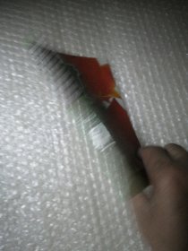 君子兰：栽培养护疑难问答