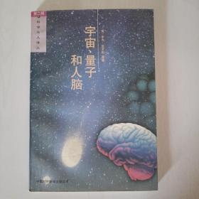 宇宙、量子和人脑