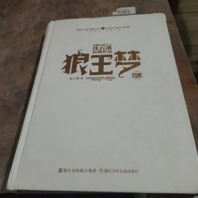 动物小说大王沈石溪经典作品·荣誉珍藏版：狼王梦