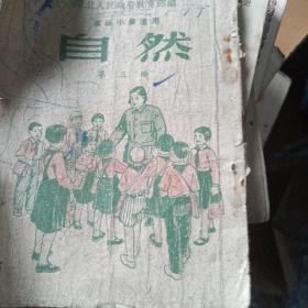 高级小学专用自然第三针