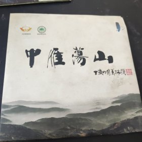 中雁荡山 光盘