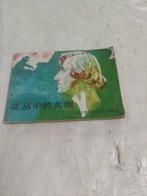 连环画 《花丛中的大炮--波兰爱国音乐家肖邦的故事》 ,, 黄 英 浩,刘克敏 绘画 人民音乐出版社