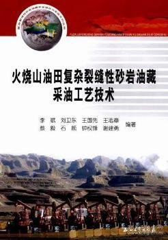 【现货速发】火烧山油田复杂裂缝性砂岩油藏采油工艺技术李斌9787502170806石油工业出版社有限公司