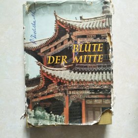 BLUTE DER MITTE(中华）