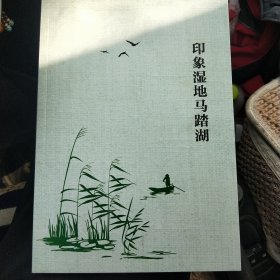 印象湿地马踏湖