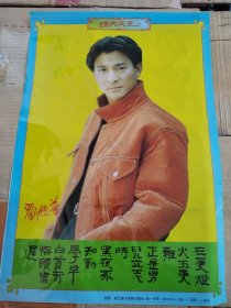 上世纪90年代的香港“四大天王”可谓是无人不知无人不晓，他们是70、80后不可磨灭的记忆。 库存品四大天王塑料画