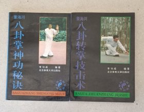 董海川八卦转掌技击术 董海川八卦掌神功秘诀 (二册)