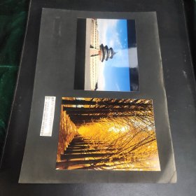 摄影作品9：同一来源系列之建筑风景照片二张，作者不同，彩色