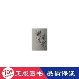 時光留影:北京電影學院教師訪談錄(第2輯) 影視理論 陸花