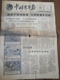 中国青年报1961年8月26日