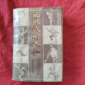 四川武术大全（上册）品相实物拍摄售后不退