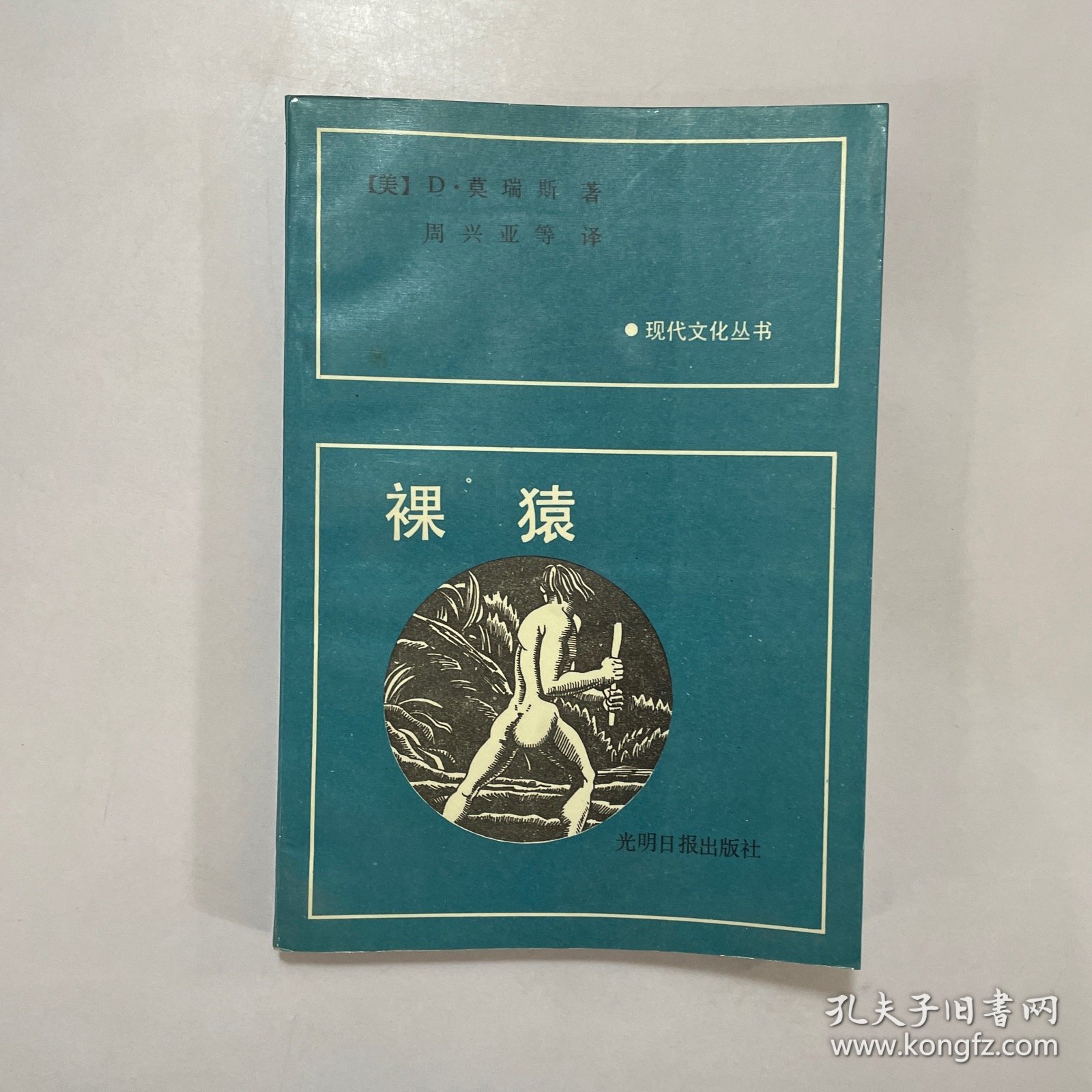 裸猿