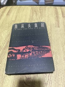 鱼从头臭起