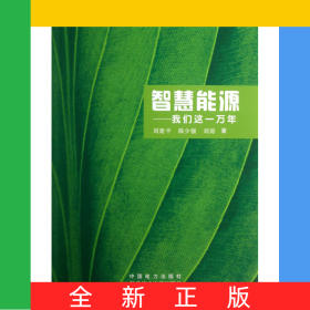智慧能源--我們這一萬年